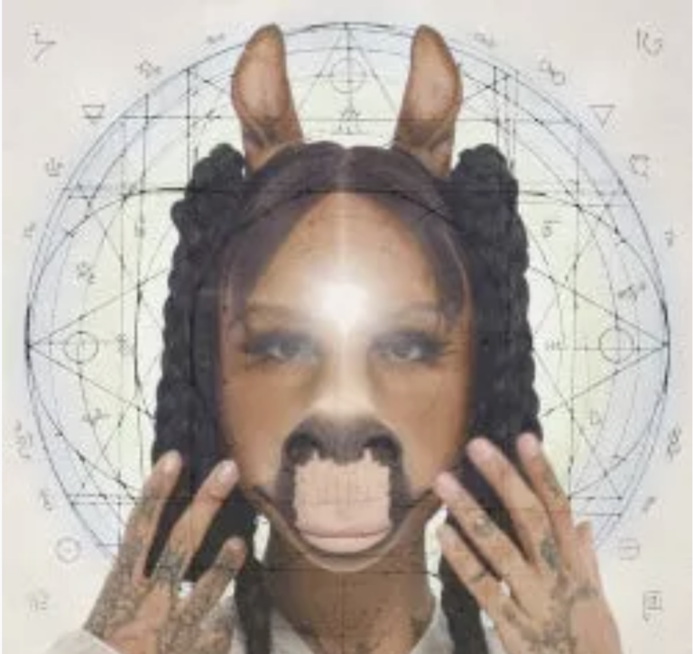 HorsegiirL: Conspiracy or Pure Art?