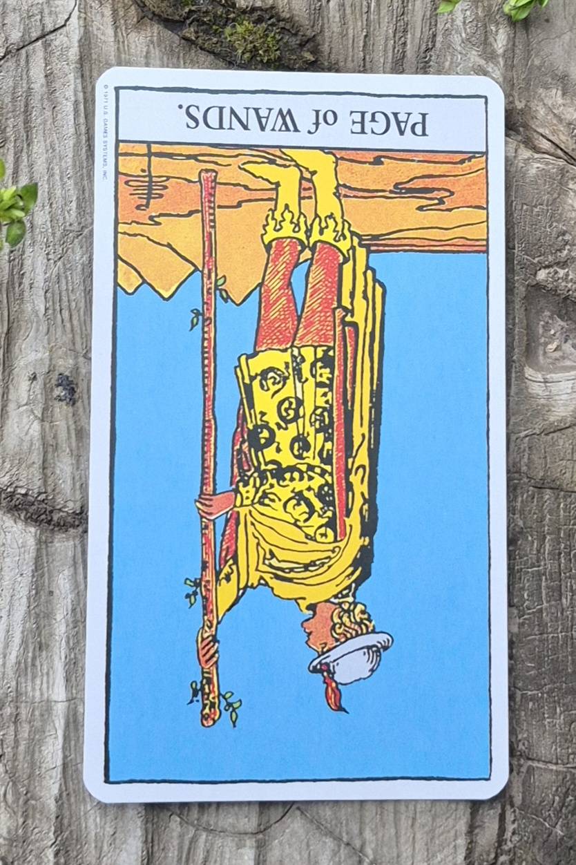 Cancer tarot card - Page of Wands Reversed