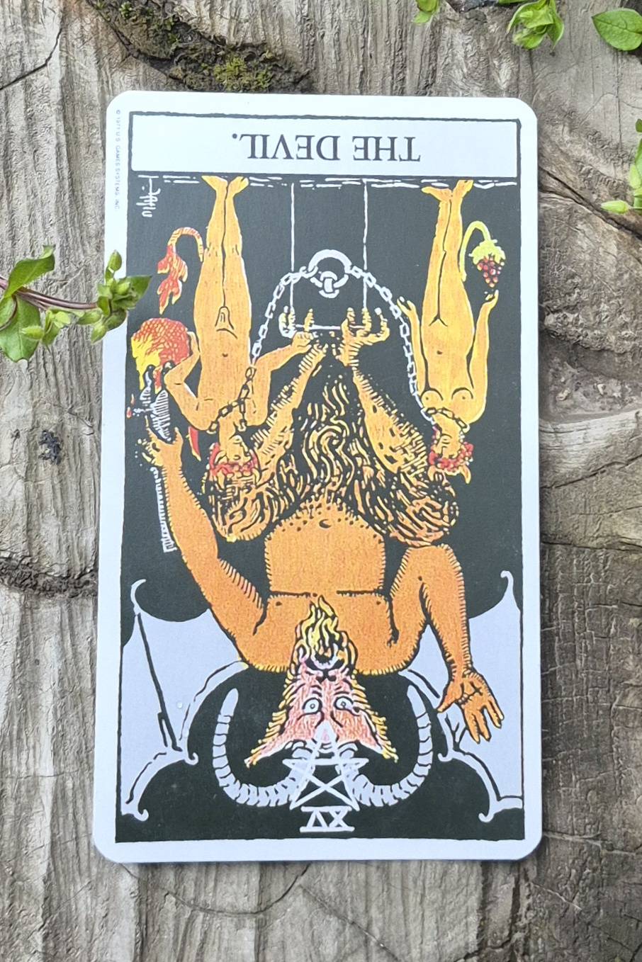 Capricorn tarot card - The Devil Reversed