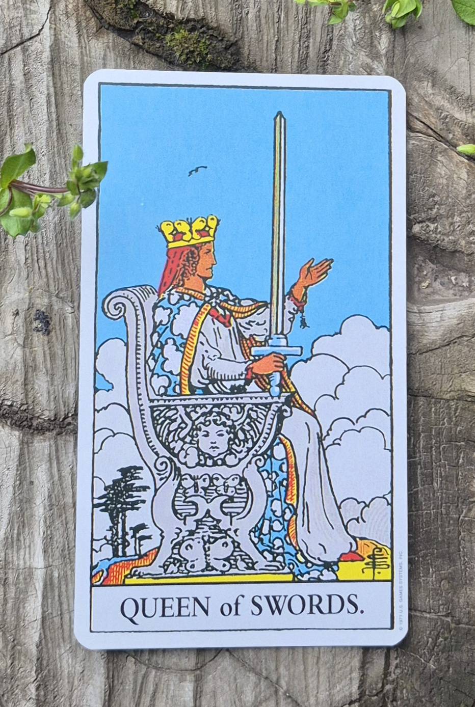 Leo tarot card - Queen of Swords