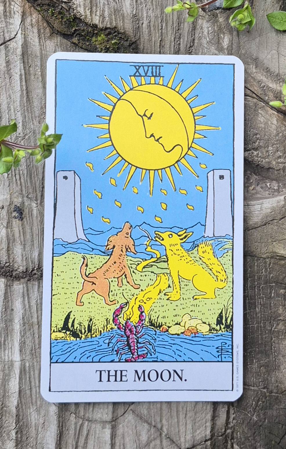 Scorpio tarot card - The Moon